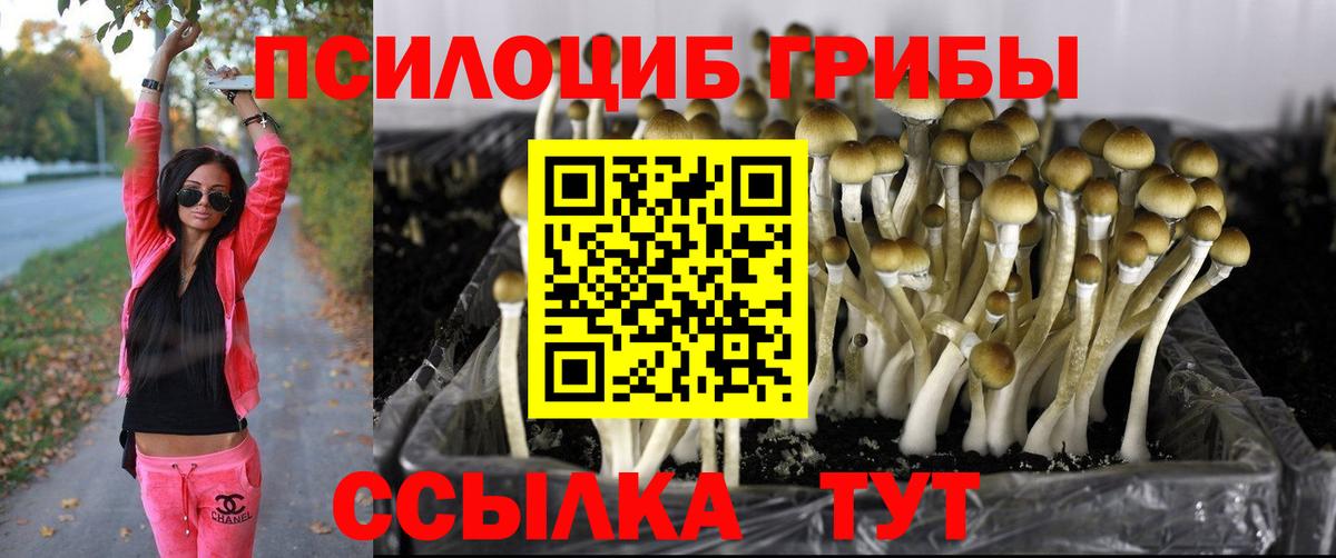Кимовск  Псилоцибиновые грибы прущие грибы  Вход с VPN  Псилоцибиновые грибы ЛСД 