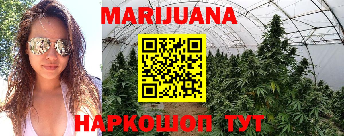 Конопля конопля  Вход с VPN  Кимовск  МАРИХУАНА гибрид  Марихуана семена 